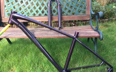 Just received my frame & shocks…