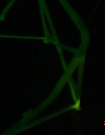 Glows In The Dark Lacquer Coating Night View