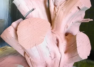 Hardwood Metallisation 6 959x1024