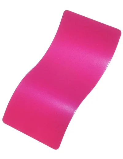 Wild Fuchsia