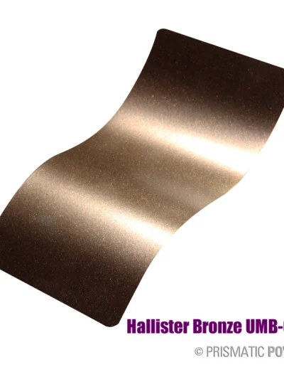 Hallister Bronze Umb 6536