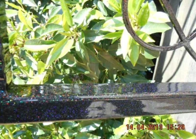 Railing Work Dec14 12