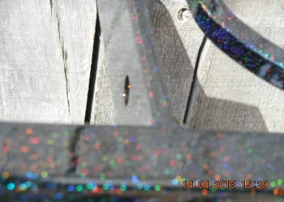 Railing Work Dec14 14