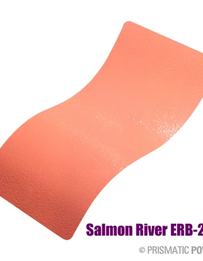 Salmon River Erb 2959