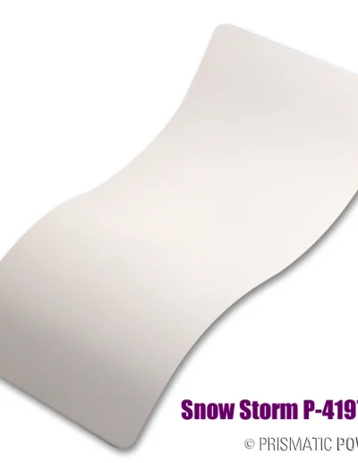 Snow Storm P 4197b