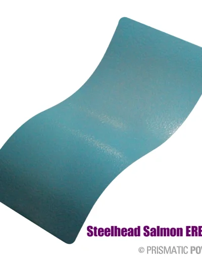 Steelhead Salmon Erb 2913