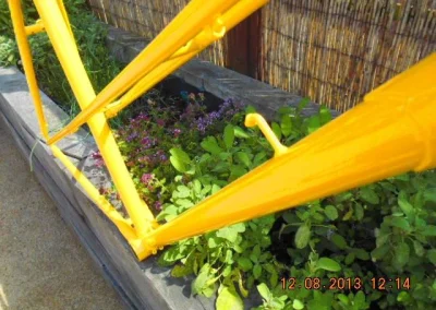 Yellowpowdercoated Pedal Bike 2