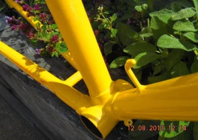 Yellowpowdercoated Pedal Bike 3 1