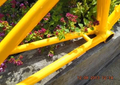 Yellowpowdercoated Pedal Bike 7 1