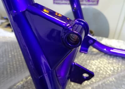 Cool Colou Bike Frame 3